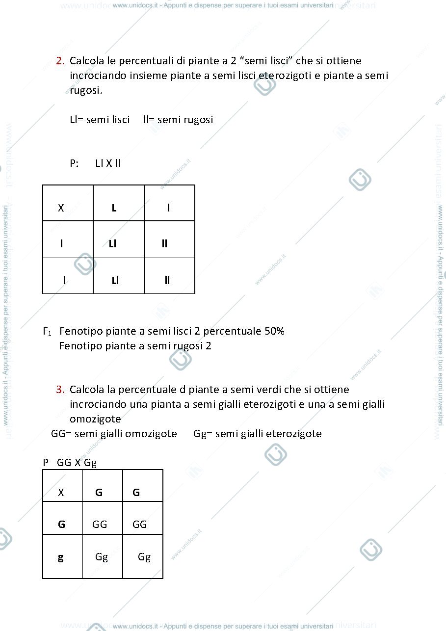 Anteprima pagina 2 — Esercizi di genetica 
