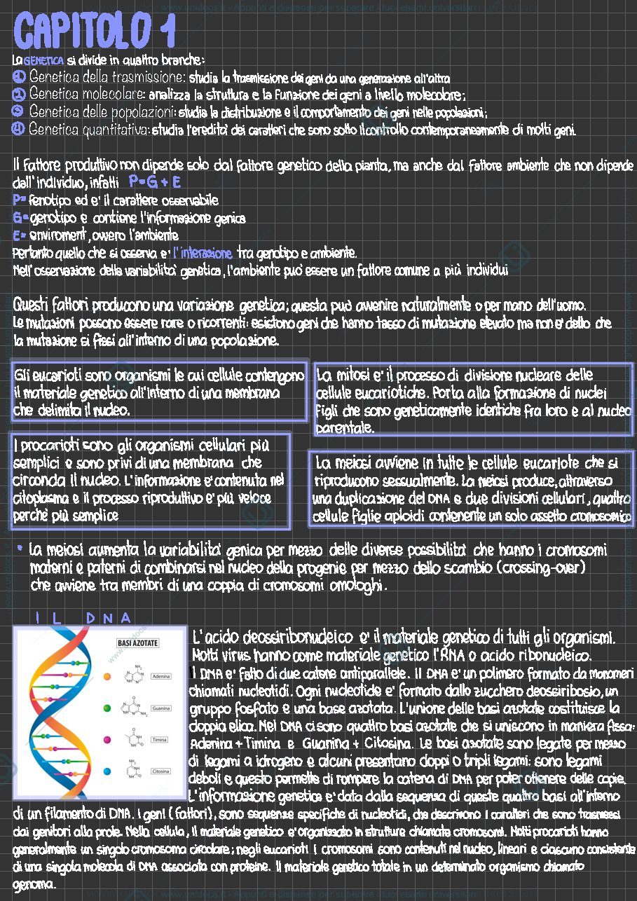Anteprima pagina 2 — Genetica 