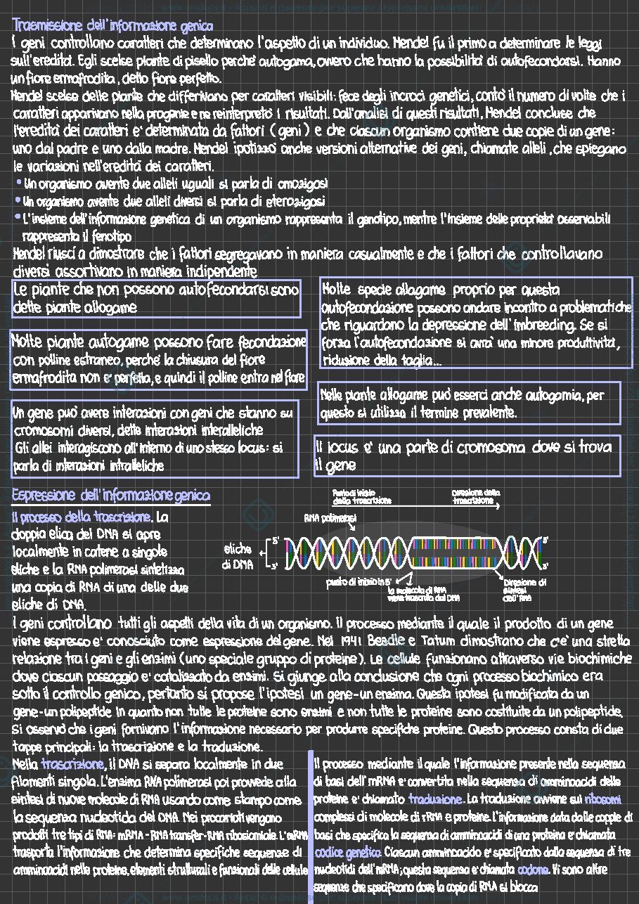 Anteprima pagina 3 — Genetica 