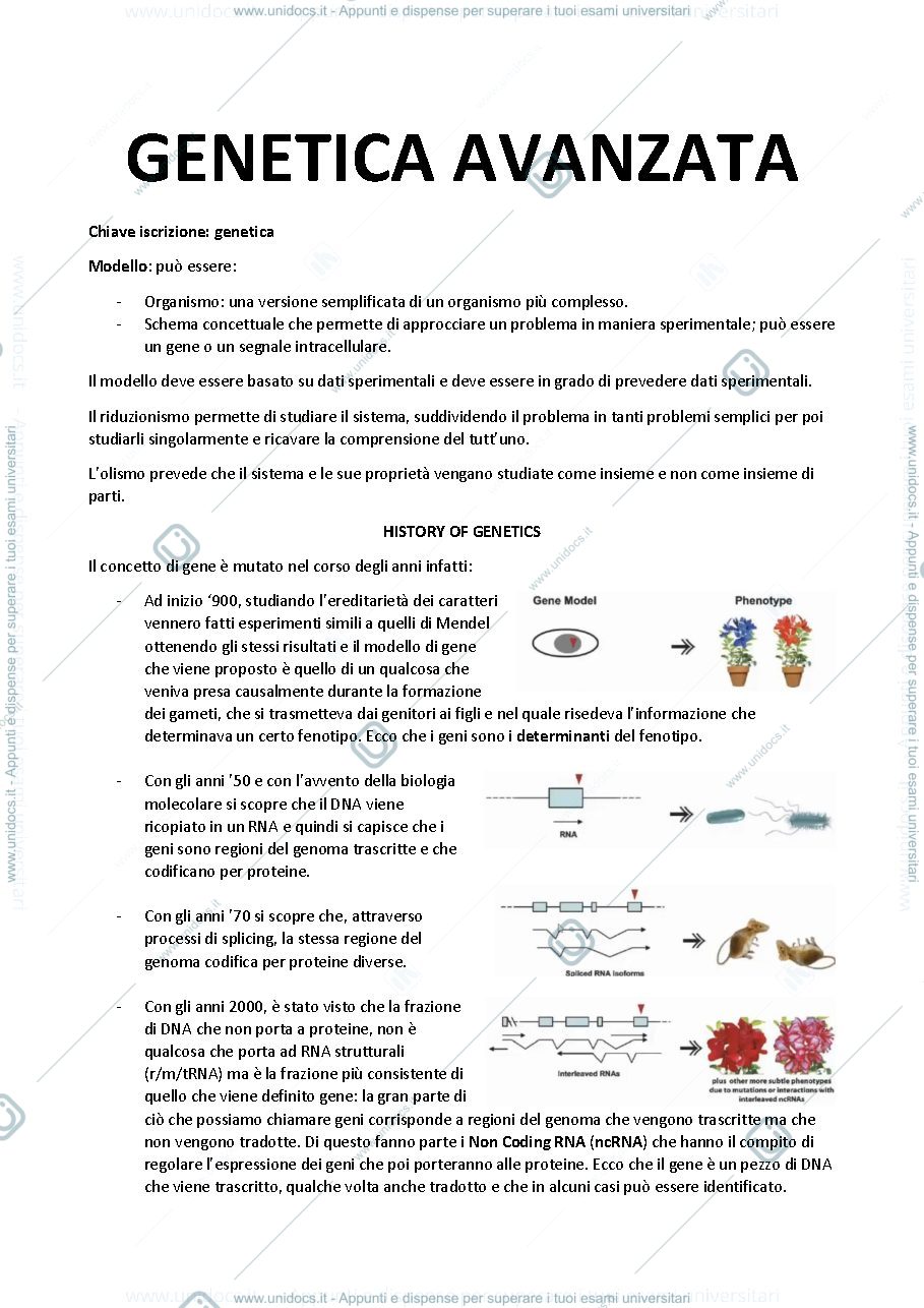 Anteprima pagina 1 — GENETICA AVANZATA