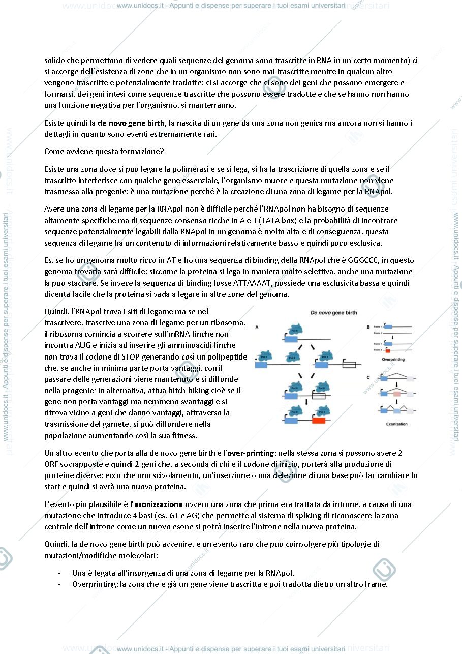 Anteprima pagina 4 — GENETICA AVANZATA