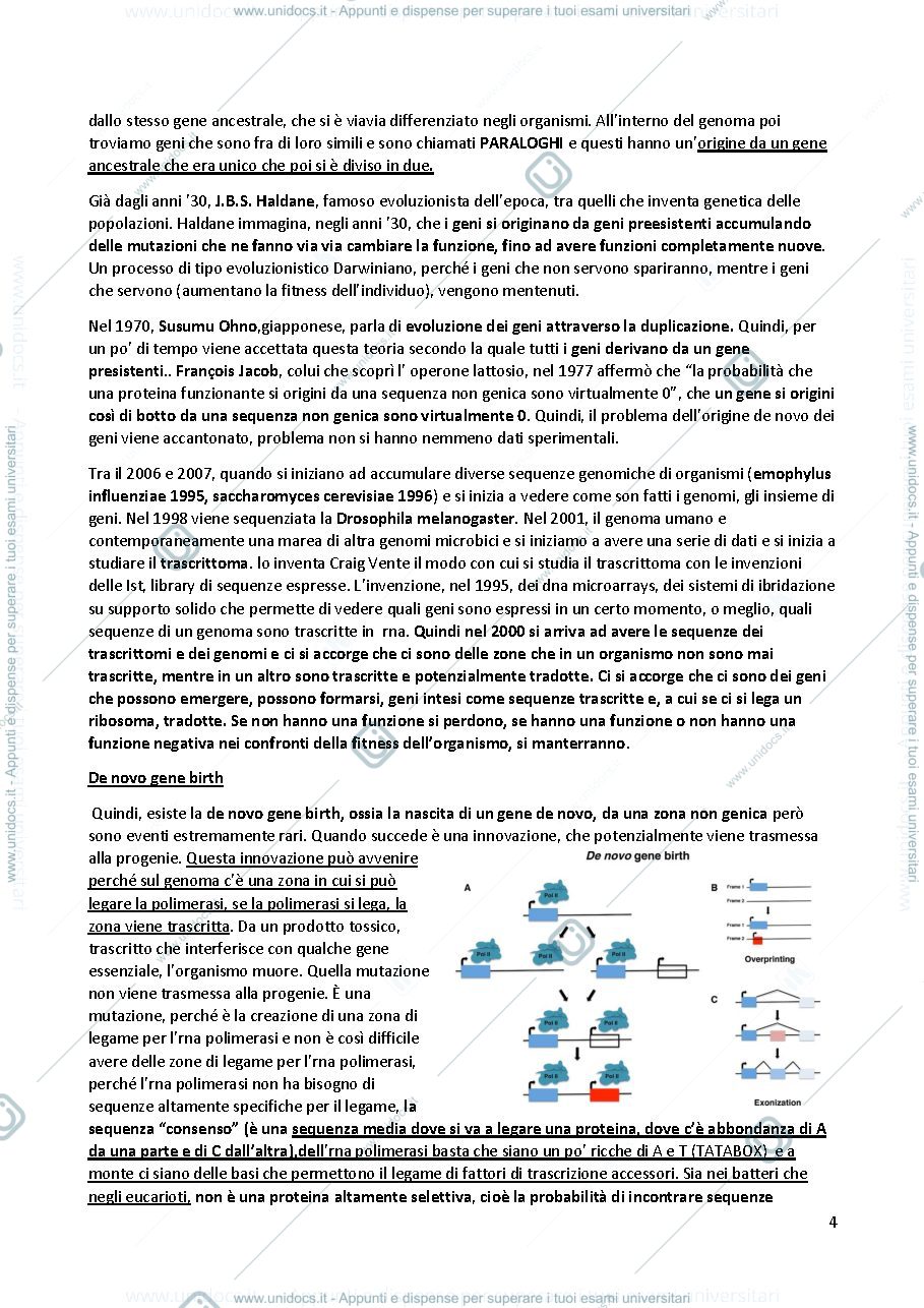 Anteprima pagina 4 — Appunti di Genetica 20/21