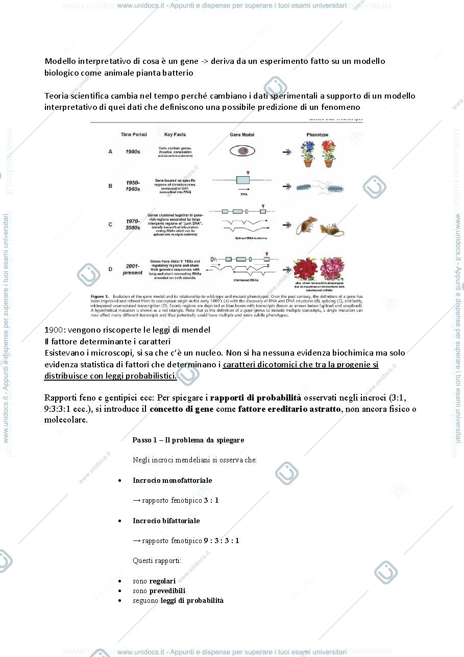Anteprima pagina 1 — Genetica avanzata