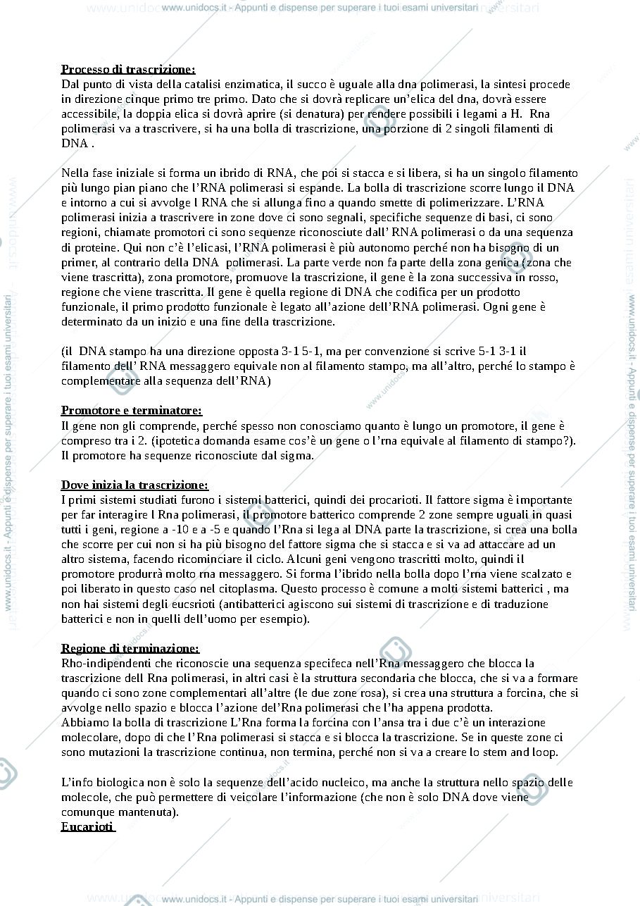 Anteprima pagina 1 — Processo di trascrizione