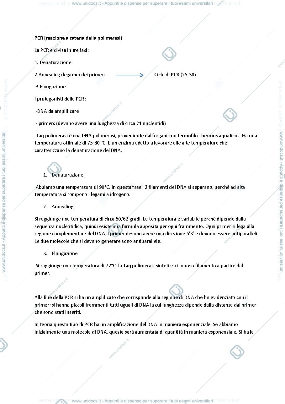 Anteprima pagina 1 — appunti DNA