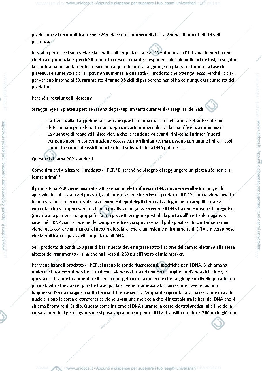 Anteprima pagina 2 — appunti DNA