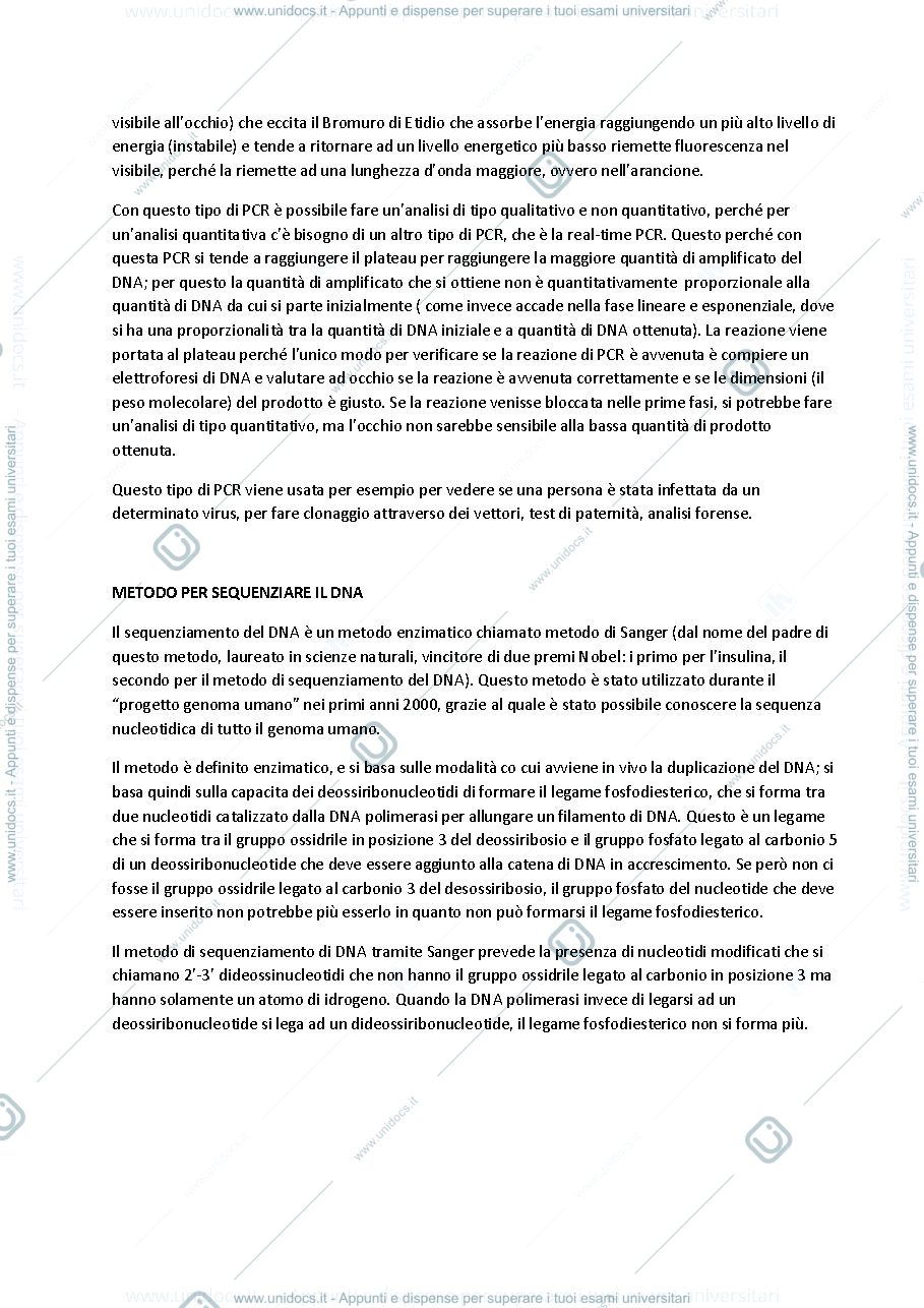 Anteprima pagina 3 — appunti DNA