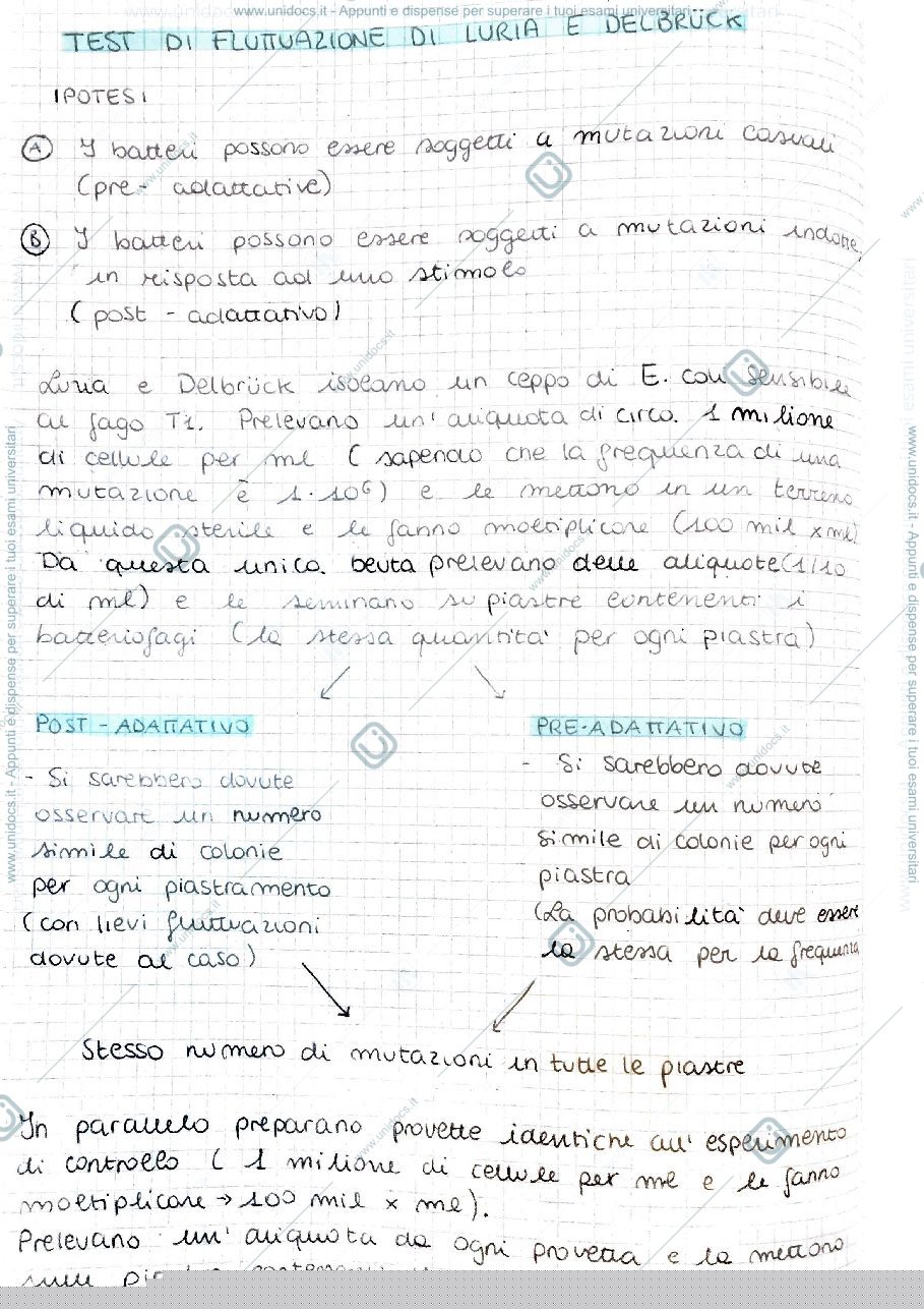 Anteprima pagina 1 — Test di Fluttuazione