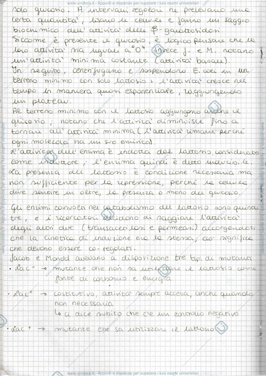 Anteprima pagina 2 — Operone Lattosio