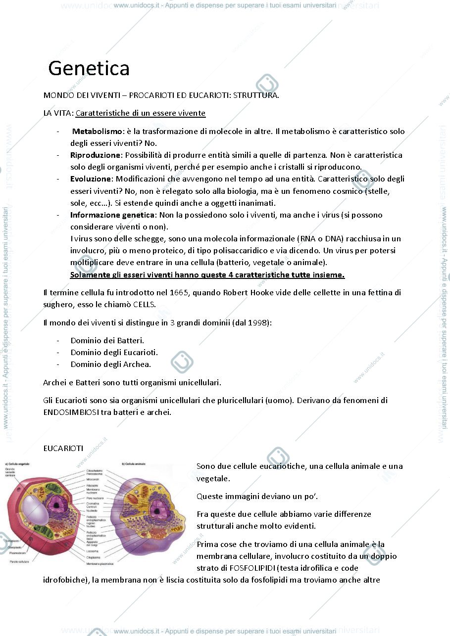 Anteprima pagina 1 — Genetica