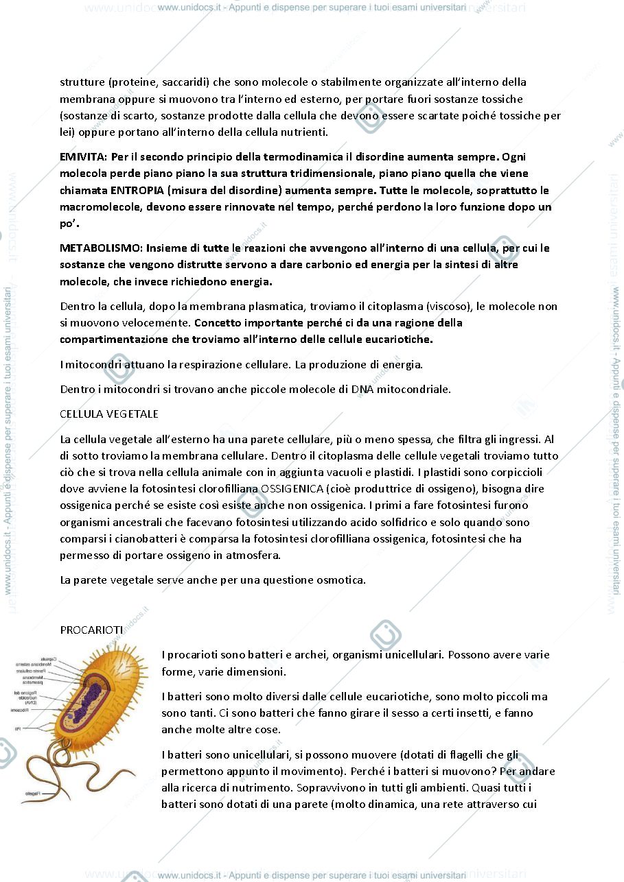 Anteprima pagina 2 — Genetica