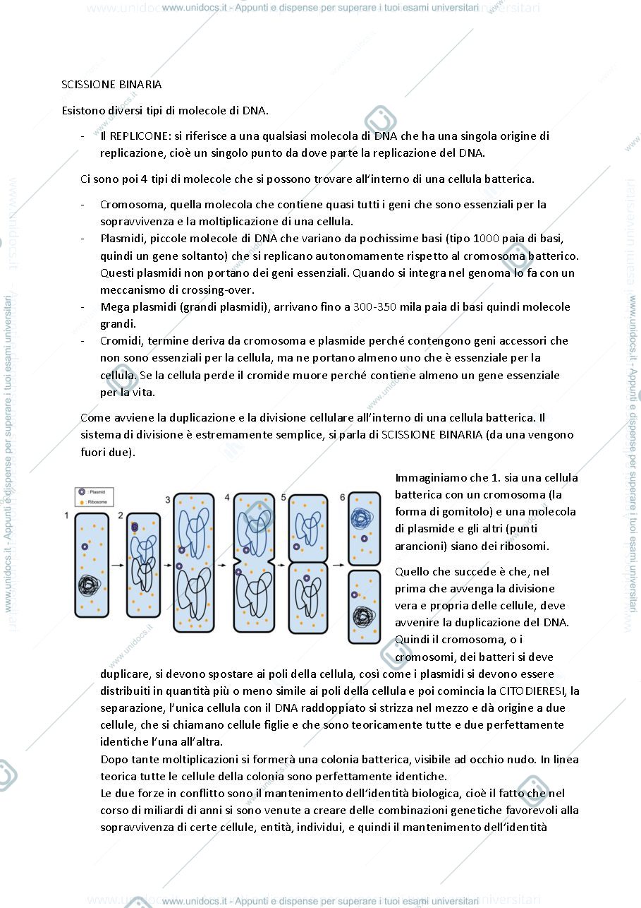 Anteprima pagina 4 — Genetica