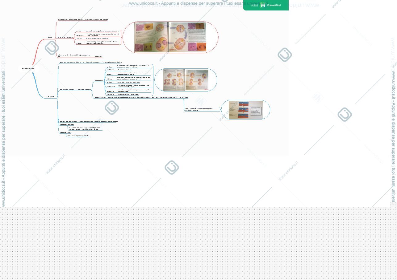 Anteprima pagina 1 — Biologia 