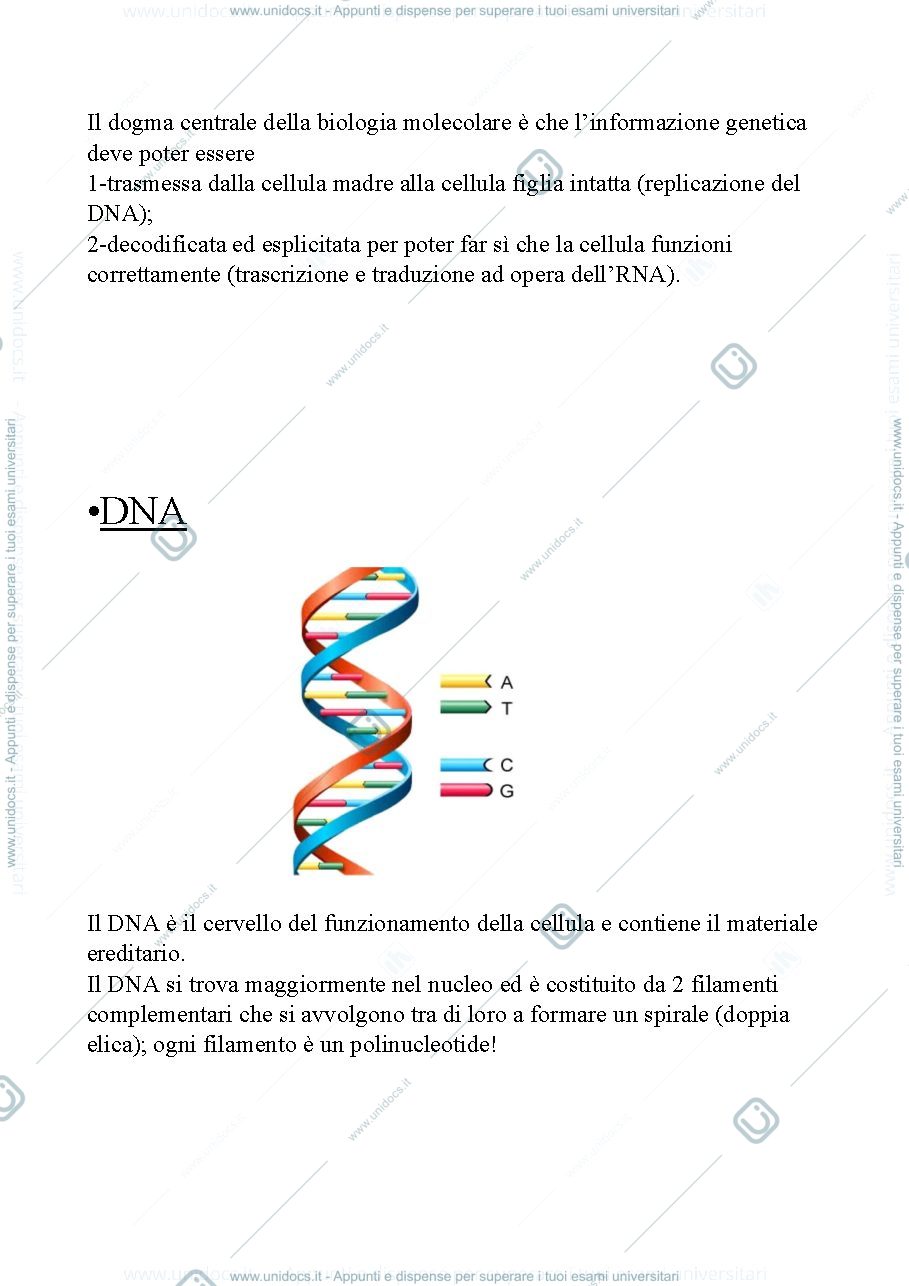 Anteprima pagina 1 — Appunti genetica