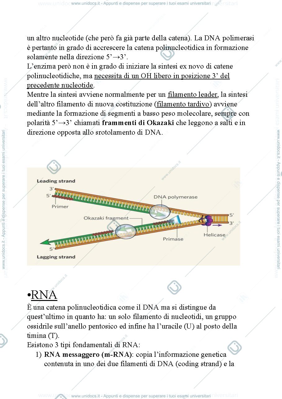 Anteprima pagina 4 — Appunti genetica