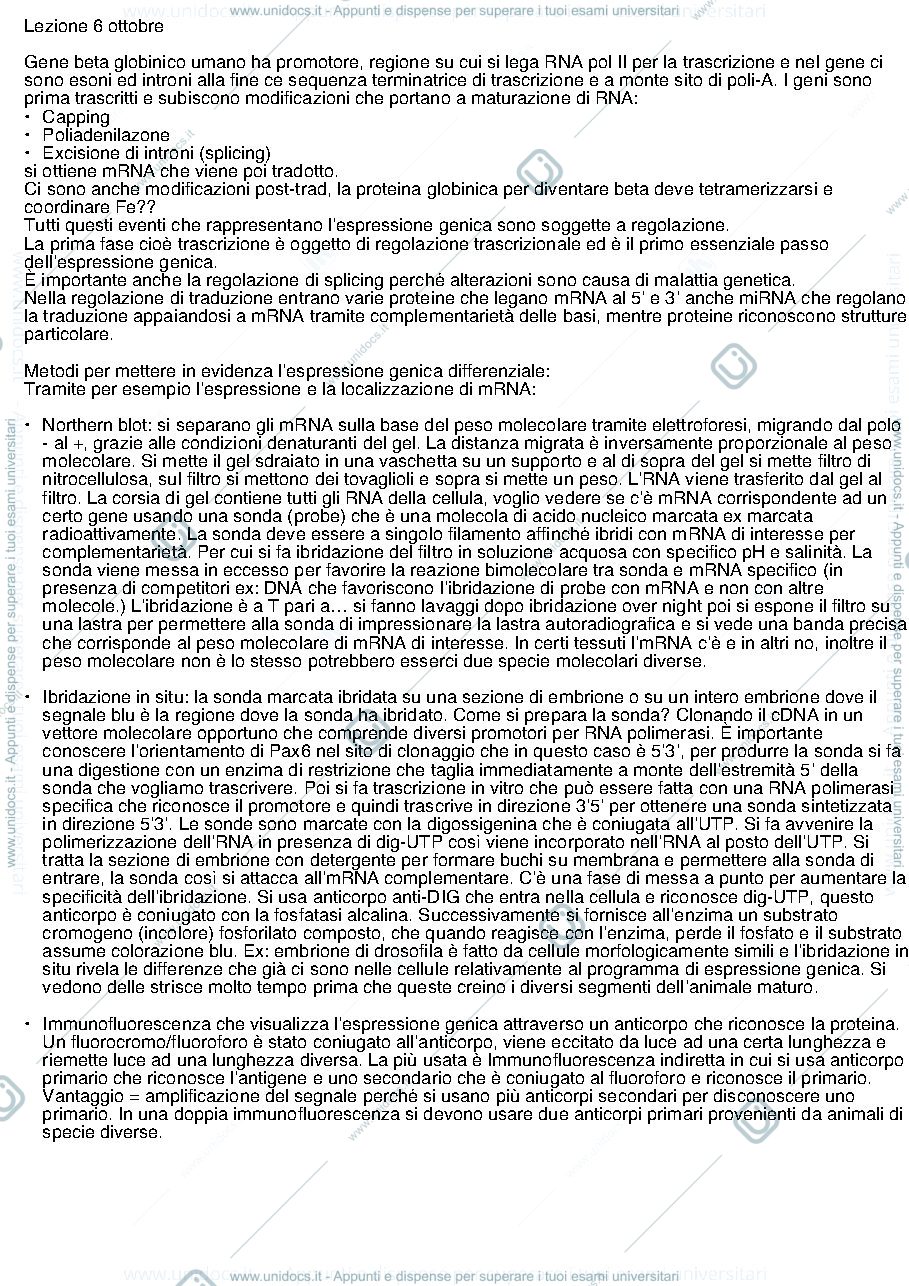 Anteprima pagina 1 — Lezioni di genetica 