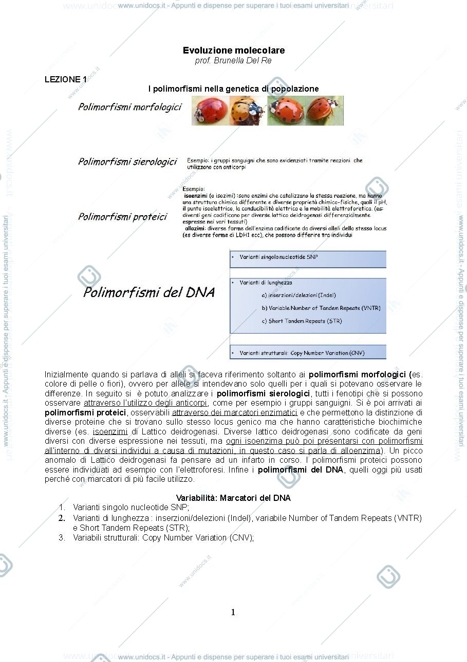 Anteprima pagina 1 — EVOLUZIONE MOLECOLARE