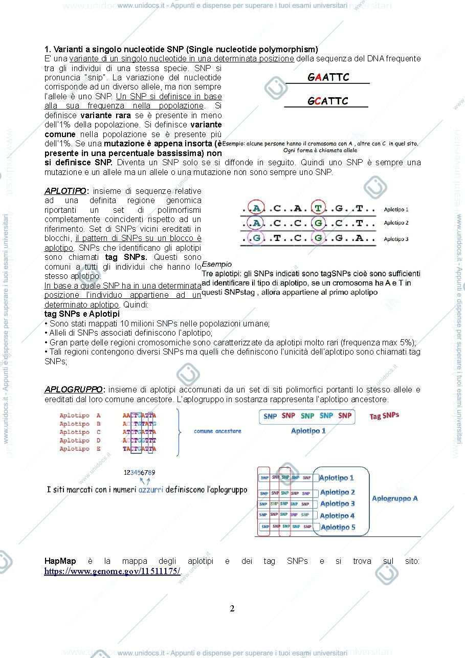 Anteprima pagina 2 — EVOLUZIONE MOLECOLARE