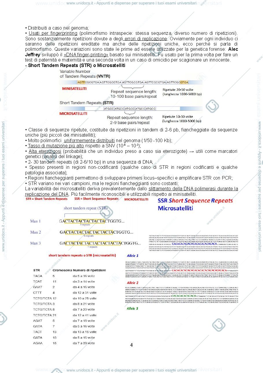 Anteprima pagina 4 — EVOLUZIONE MOLECOLARE