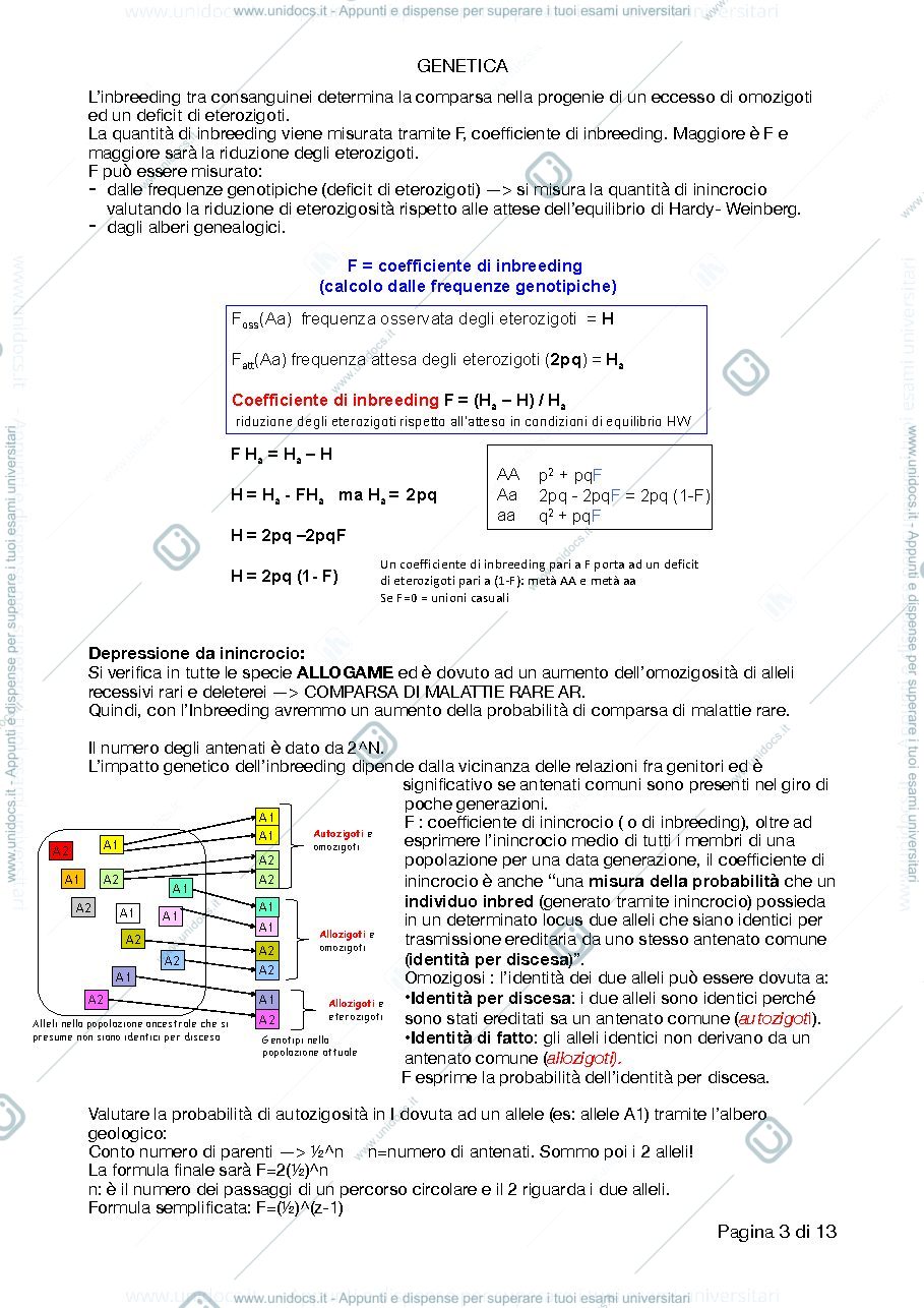 Anteprima pagina 3 — genetica