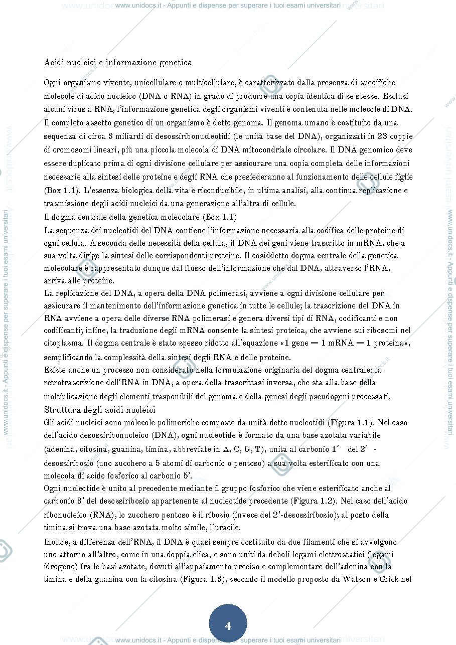 Anteprima pagina 4 — Appunti di genomica 