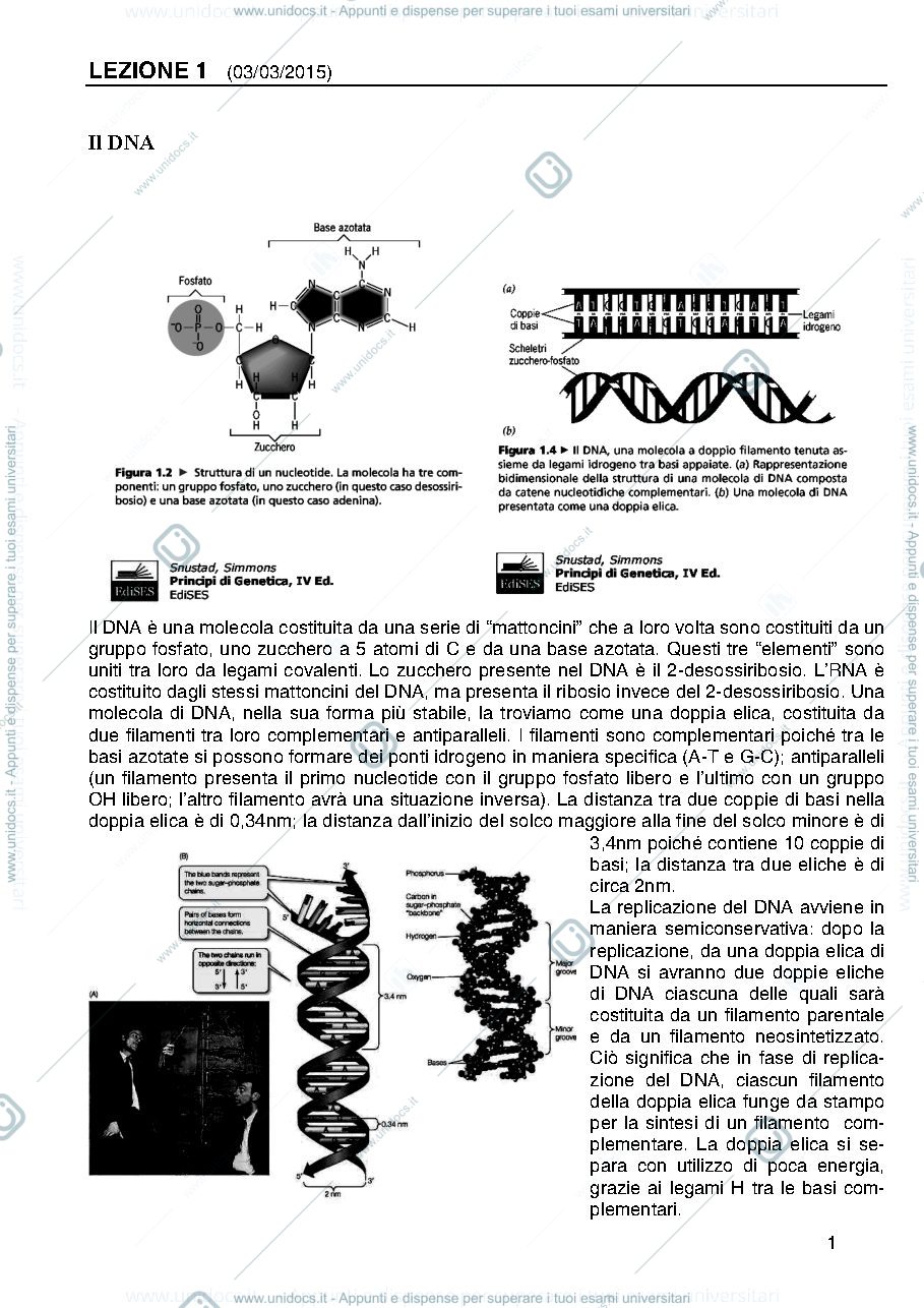 Anteprima pagina 1 — Genetica Prof Majello