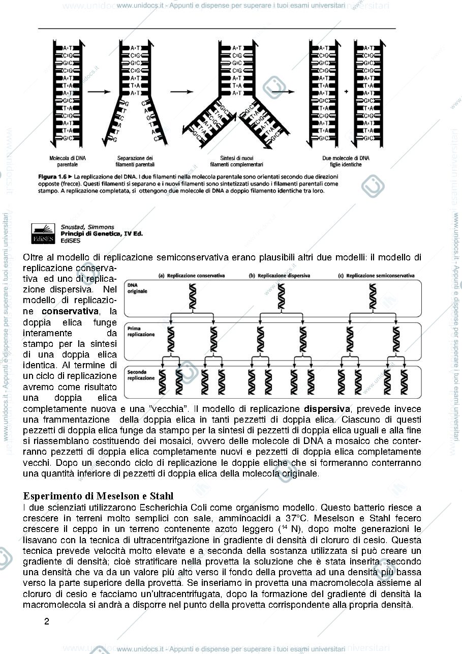 Anteprima pagina 2 — Genetica Prof Majello