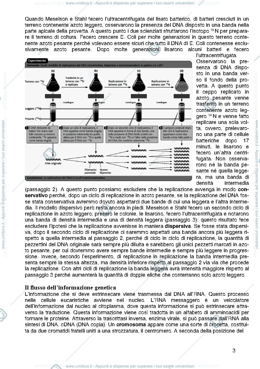 Anteprima pagina 3 — Genetica Prof Majello