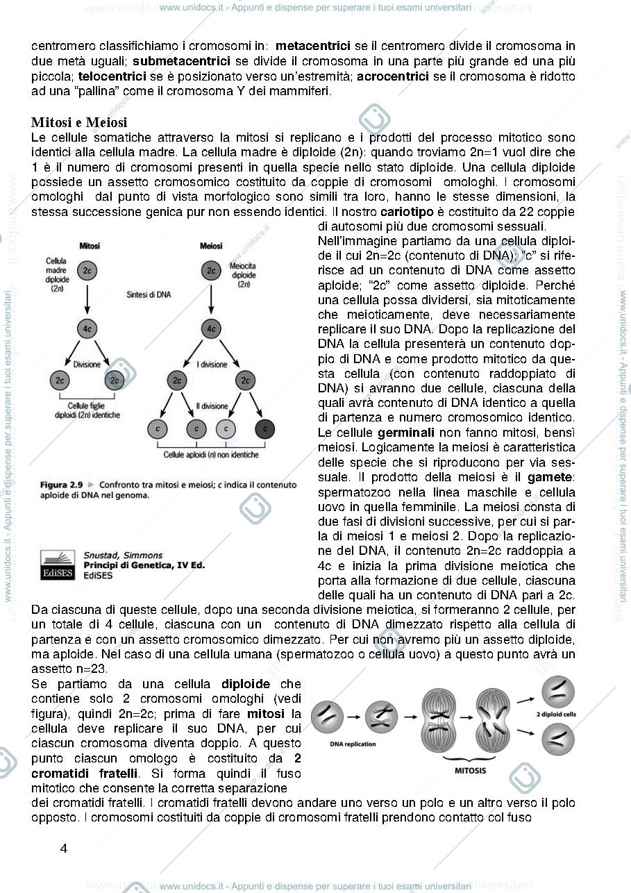Anteprima pagina 4 — Genetica Prof Majello