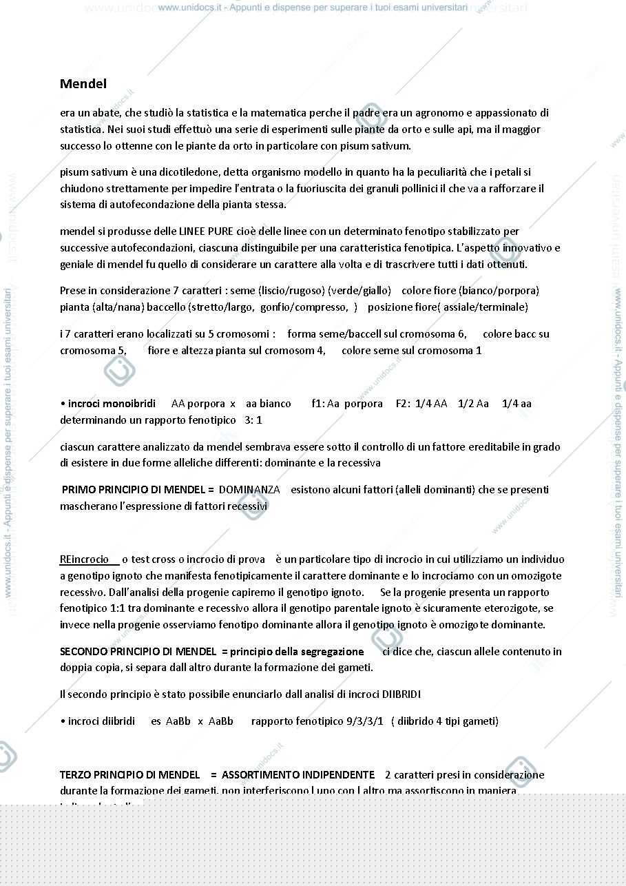 Anteprima pagina 1 — PRINCIPI MENDELIANI ED ALBERI GENEALOGICI