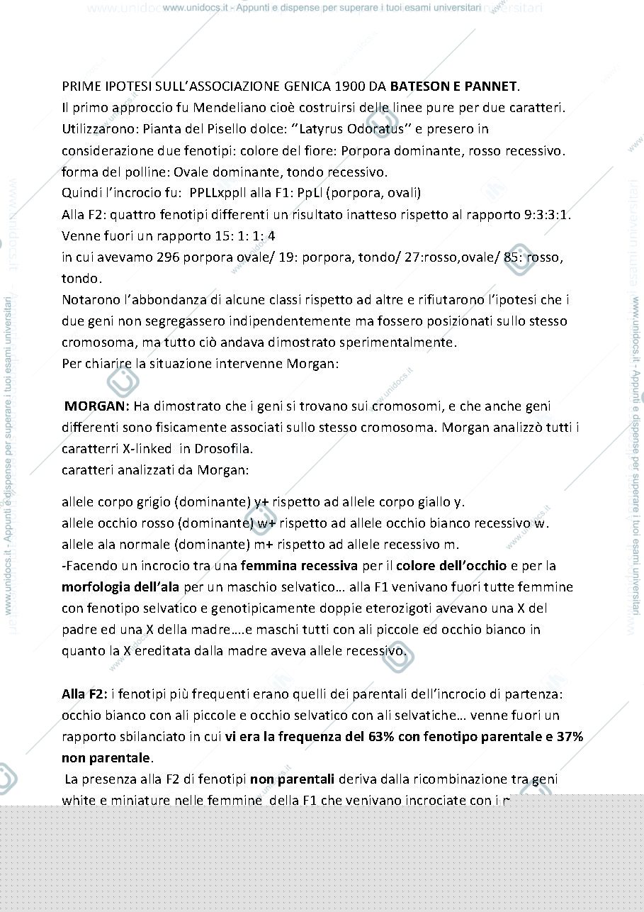 Anteprima pagina 1 — ASSOCIAZIONE GENICA DA BATESON E PANNET