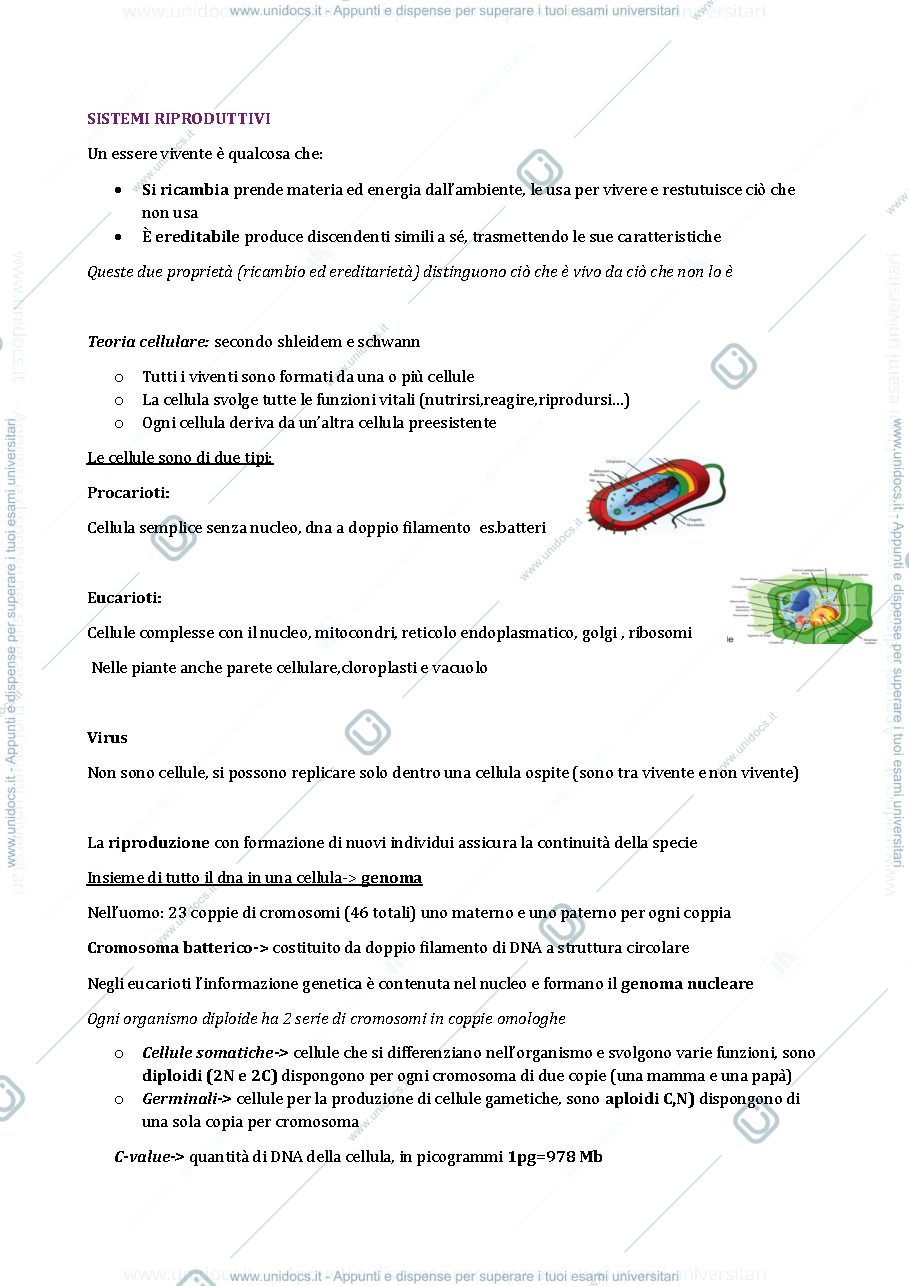 Anteprima pagina 2 — Appunti lezione