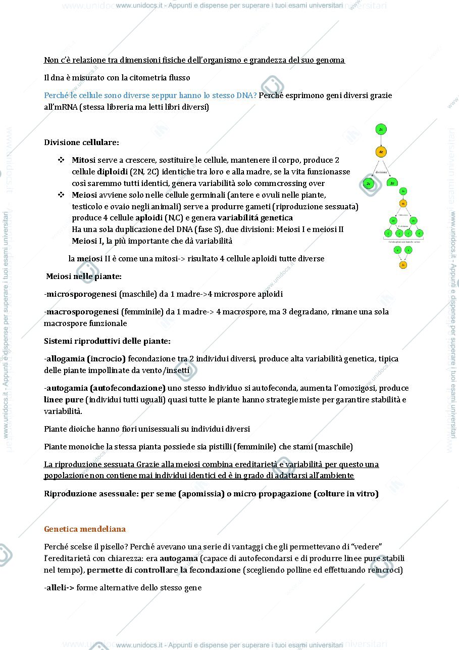 Anteprima pagina 3 — Appunti lezione