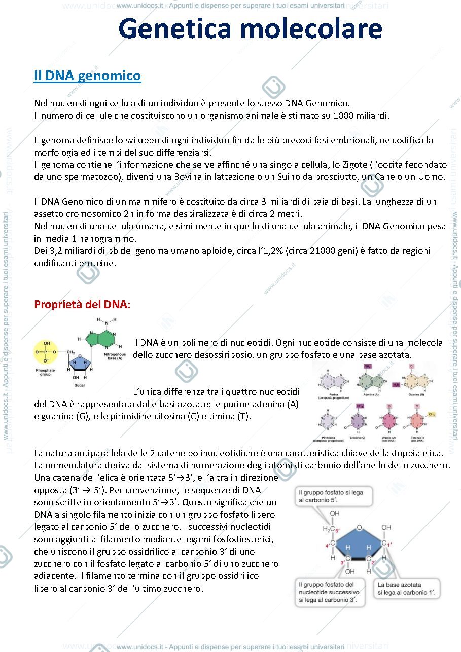 Anteprima pagina 1 — Genetica