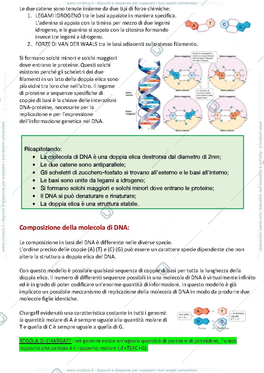 Anteprima pagina 2 — Genetica