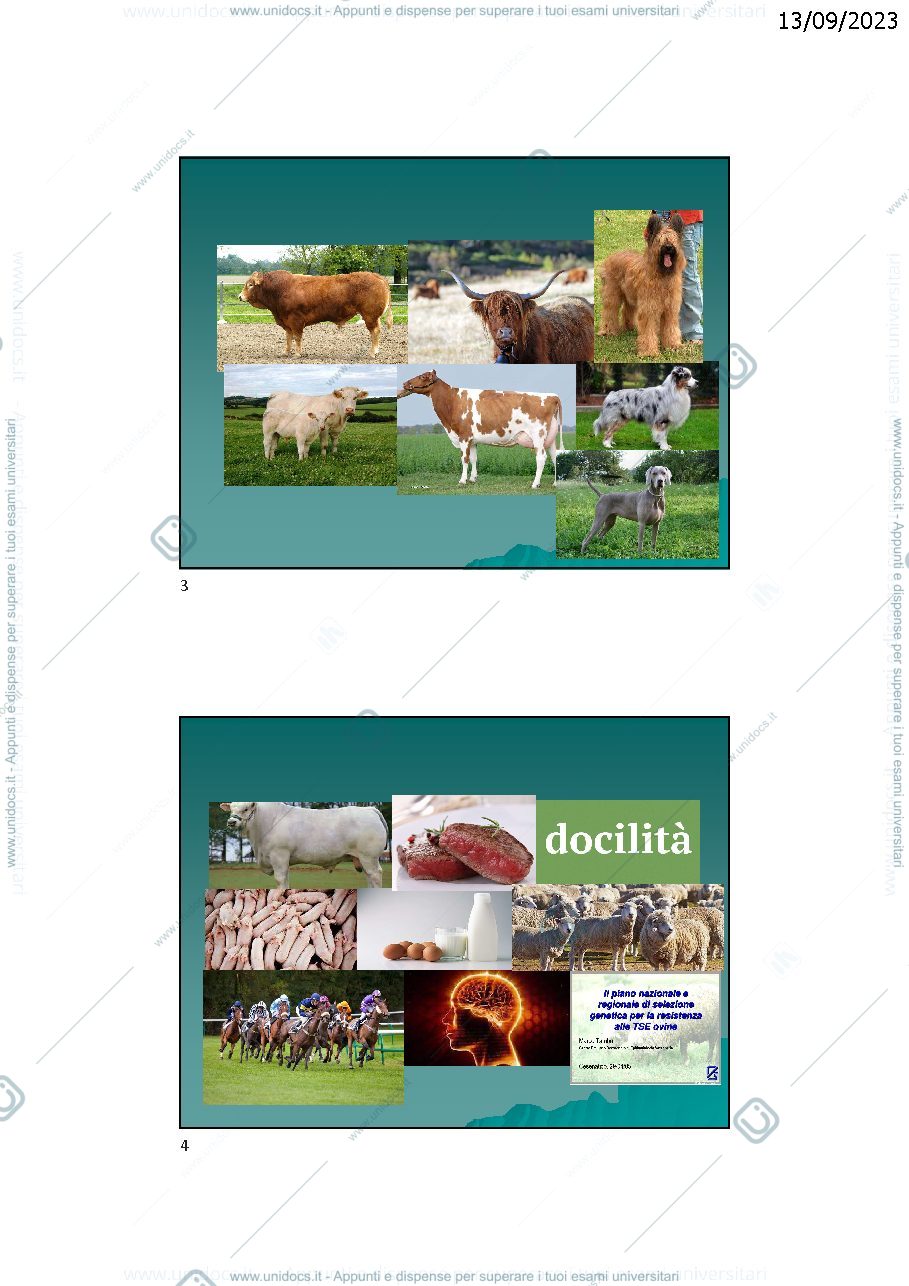 Anteprima pagina 2 — Genetica e ambiente