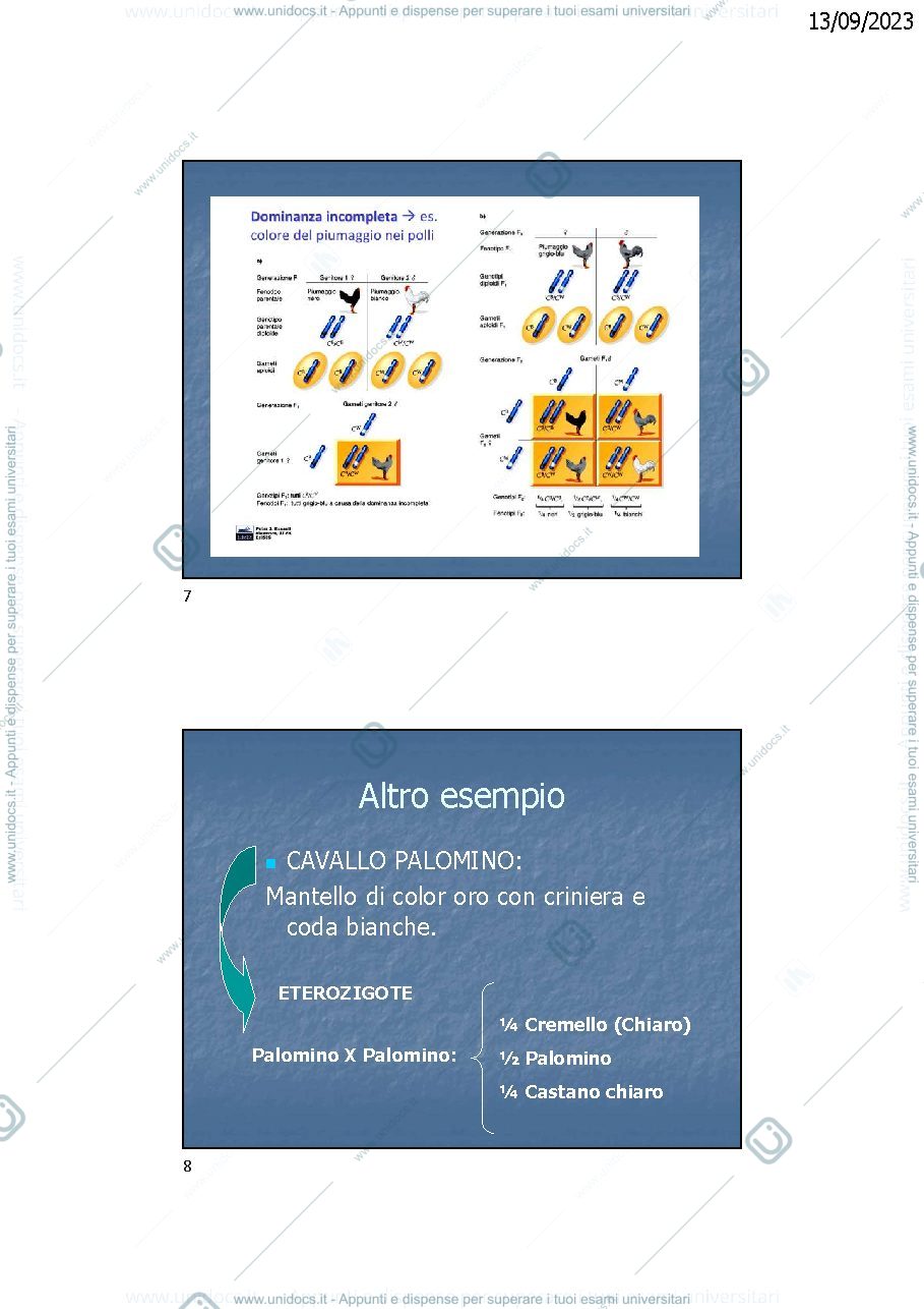 Anteprima pagina 4 — Dominanza a ed espressione dei geni