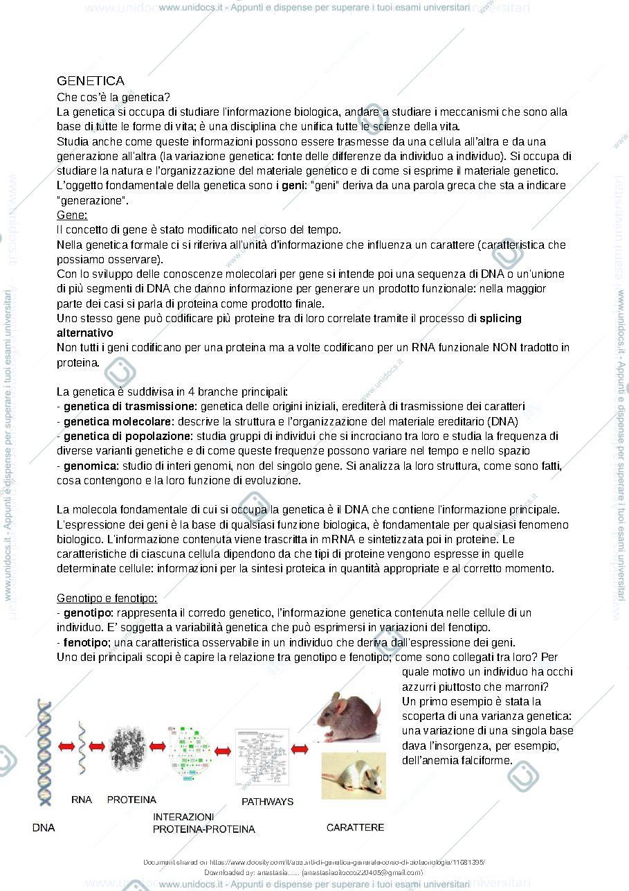 Anteprima pagina 2 — appunti genetica