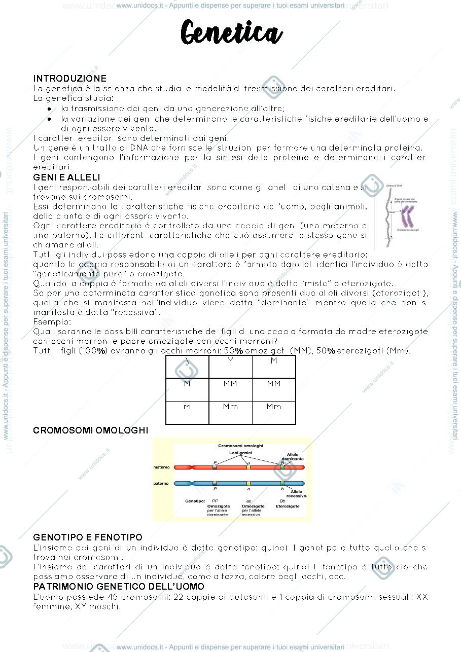 Anteprima pagina 1 — genetica per principianti