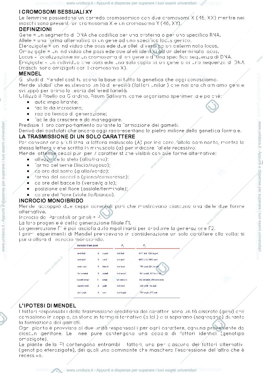 Anteprima pagina 2 — genetica per principianti
