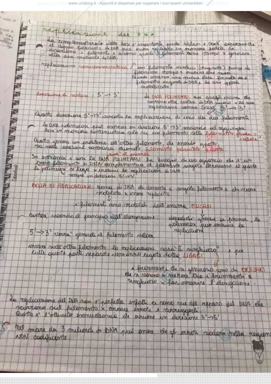 Anteprima pagina 1 — replicazione del DNA