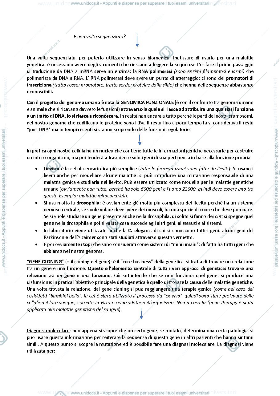 Anteprima pagina 2 — genetica