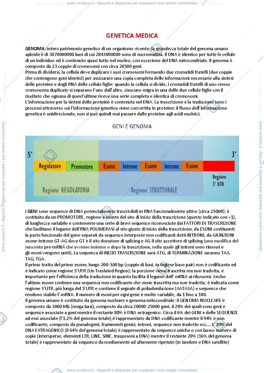 Anteprima pagina 1 — genetica medica