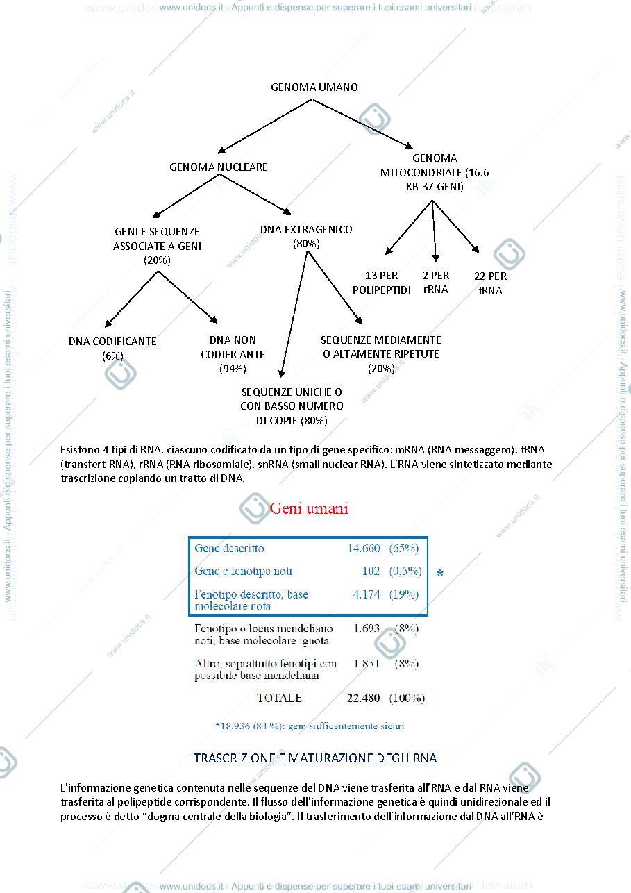 Anteprima pagina 2 — genetica medica