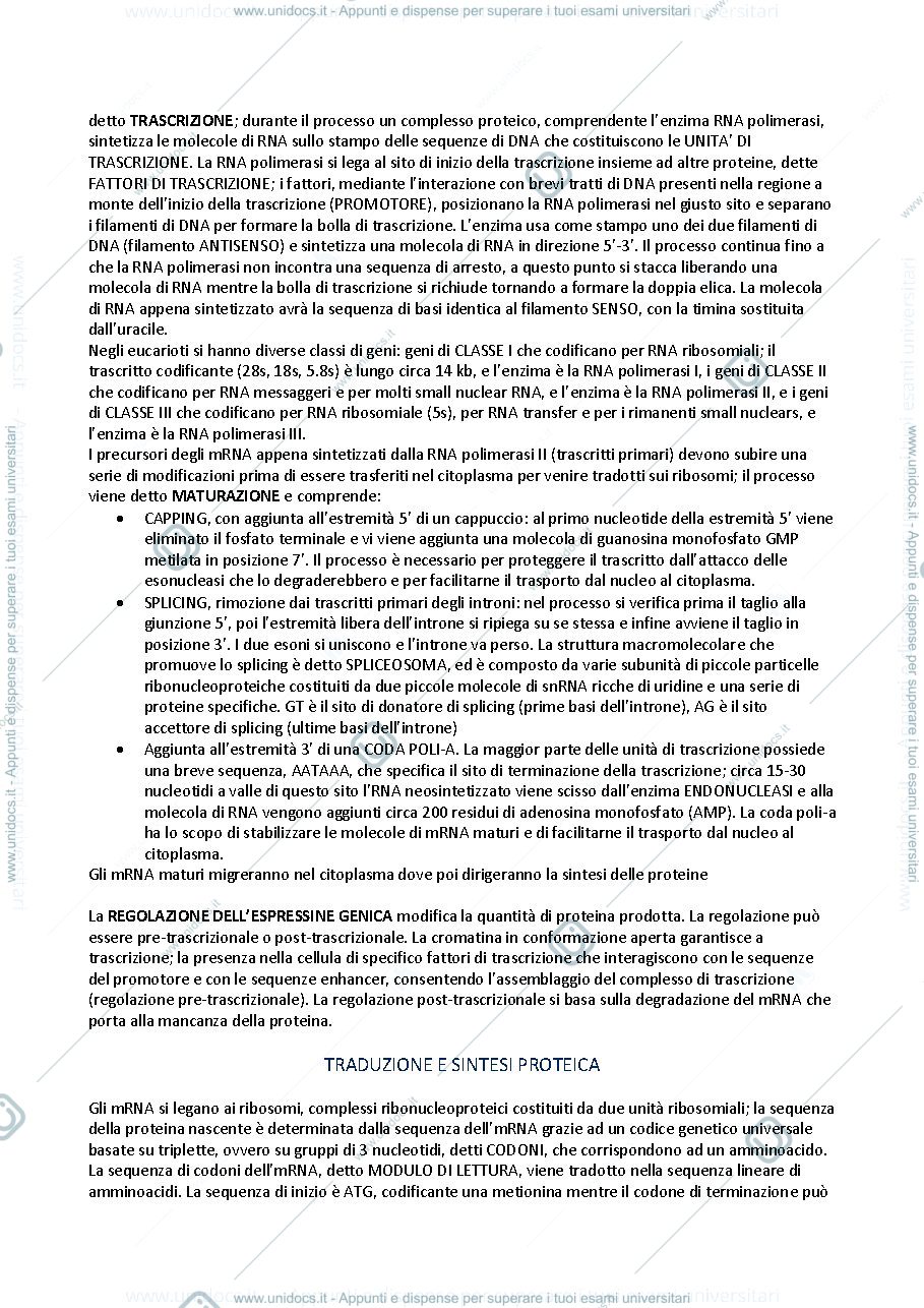 Anteprima pagina 3 — genetica medica