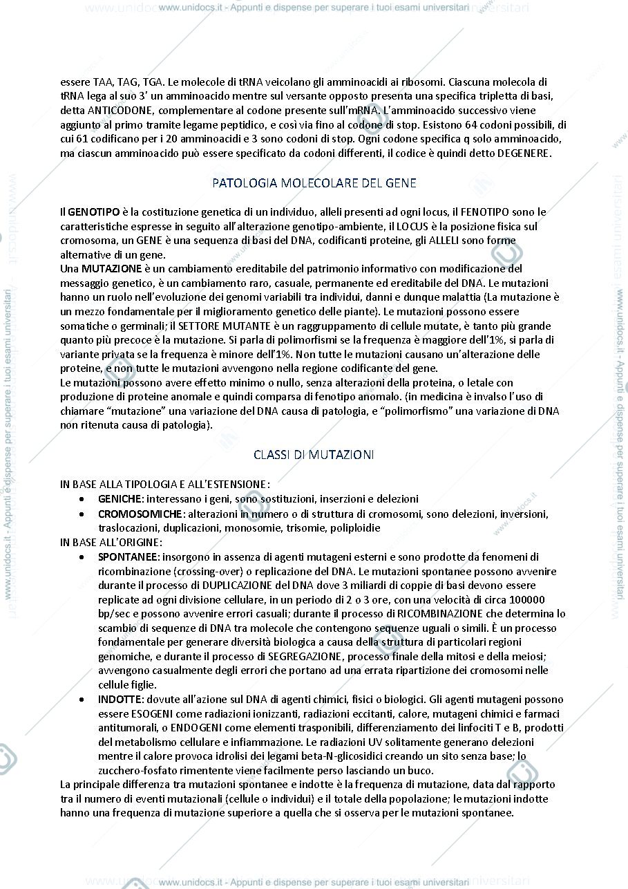 Anteprima pagina 4 — genetica medica
