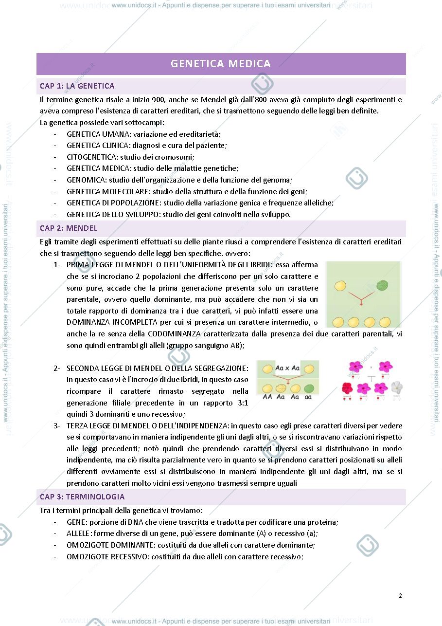 Anteprima pagina 2 — Genetica