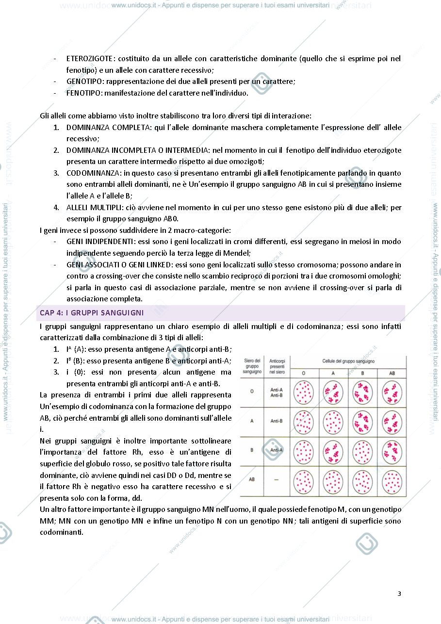 Anteprima pagina 3 — Genetica