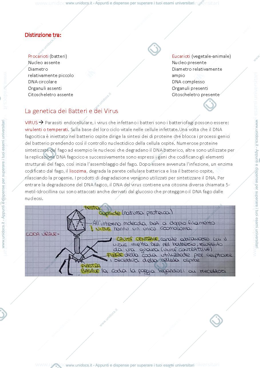 Anteprima pagina 2 — Genetica Medica