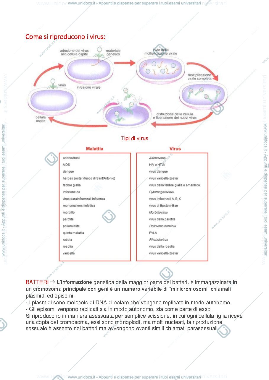 Anteprima pagina 3 — Genetica Medica